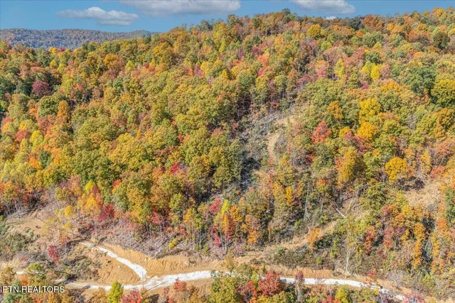 $440,000 | 0 Buffalo Road, Oneida, TN 37841