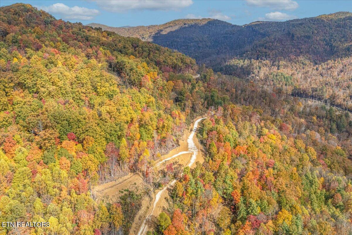 0 Buffalo Road Oneida, TN 37841 - Photo 28 of 51 20-Road View A1