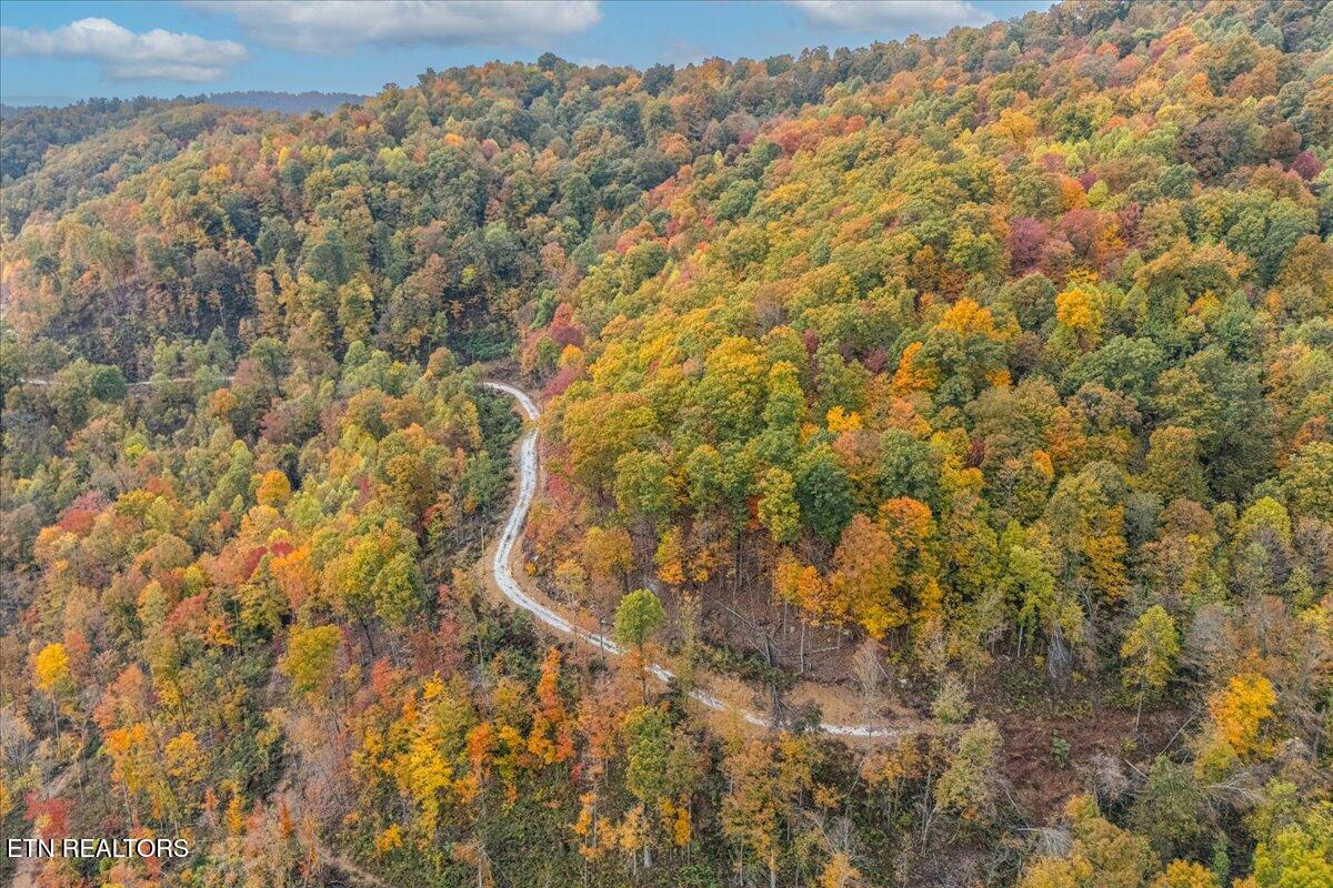 0 Buffalo Road Oneida, TN 37841 - Photo 29 of 51 21-Road View A2