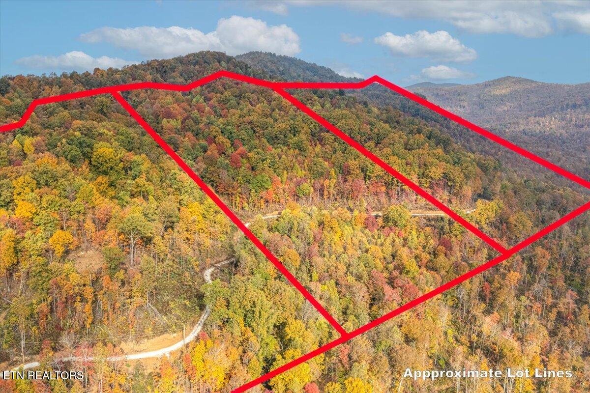 0 Buffalo Road Oneida, TN 37841 - Photo 3 of 51 12-Lot Line A10