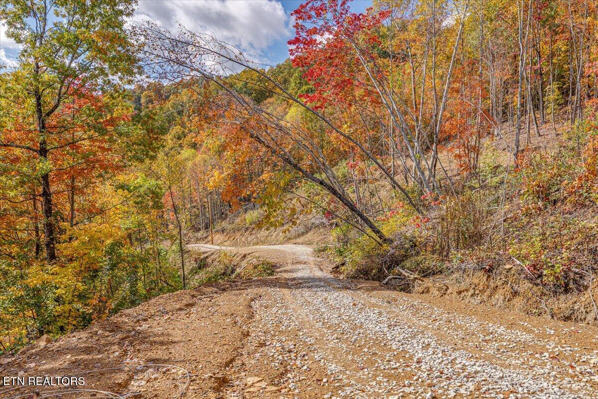 0 Buffalo Road Oneida, TN 37841 - Photo 33 of 51 25-Walkthrough A2