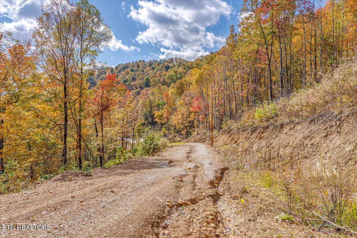 0 Buffalo Road Oneida, TN 37841 - Photo 33 of 51 24-Walkthrough A1