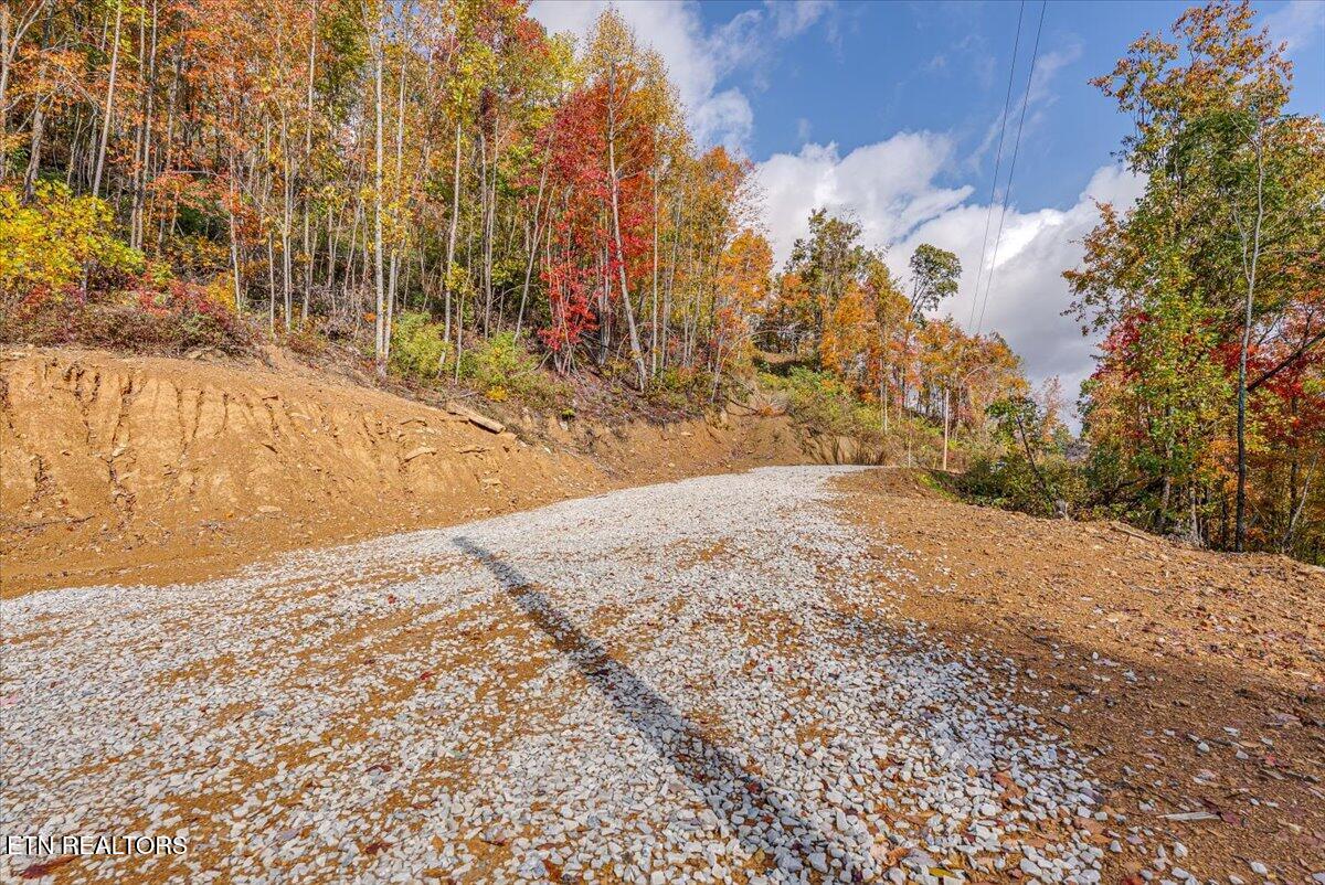 0 Buffalo Road Oneida, TN 37841 - Photo 35 of 51 27-Walkthrough A4