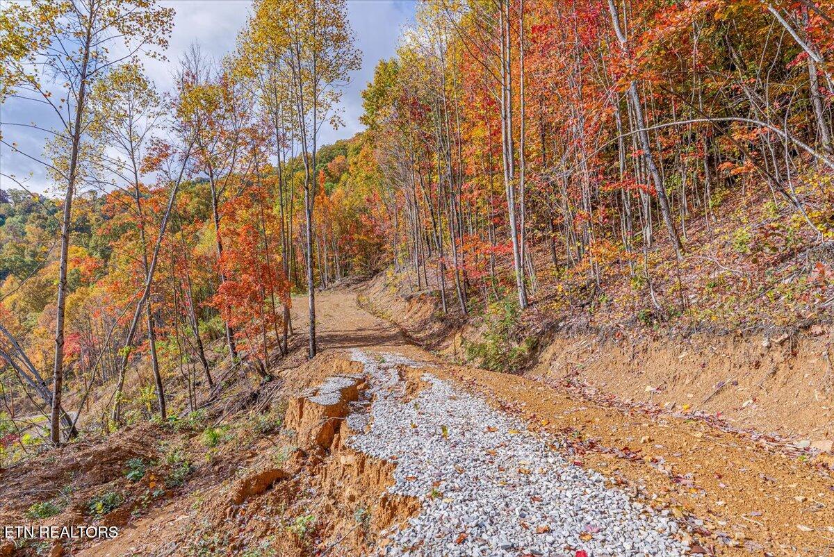 0 Buffalo Road Oneida, TN 37841 - Photo 36 of 51 28-Walkthrough A5