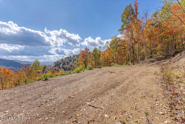 $440,000 | 0 Buffalo Road, Oneida, TN 37841