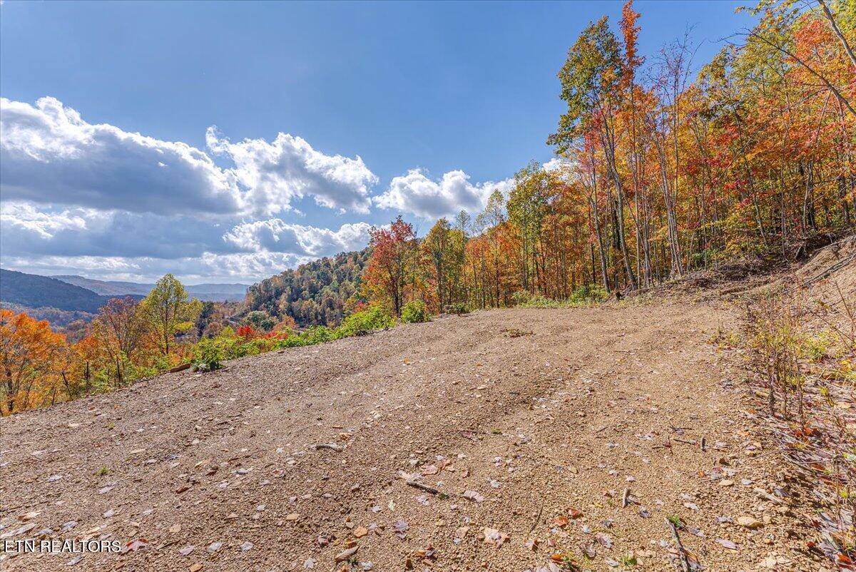 0 Buffalo Road Oneida, TN 37841 - Photo 37 of 51 29-Walkthrough A6