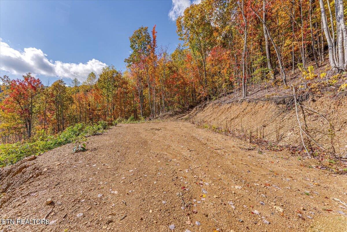 0 Buffalo Road Oneida, TN 37841 - Photo 38 of 51 30-Walkthrough A7