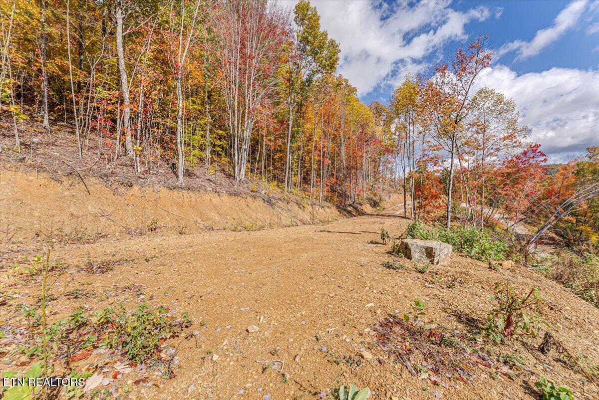 0 Buffalo Road Oneida, TN 37841 - Photo 40 of 51 31-Walkthrough A8