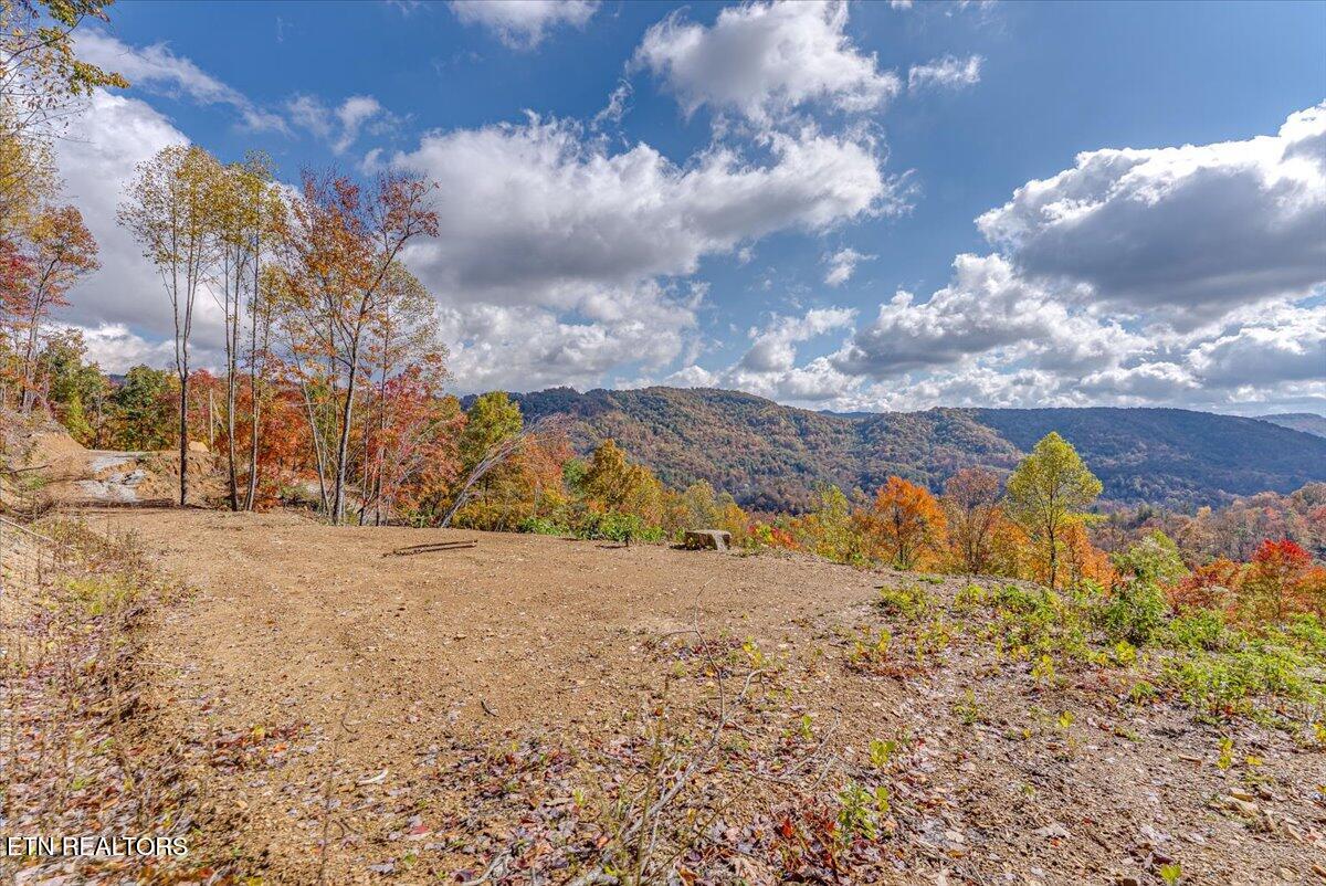 0 Buffalo Road Oneida, TN 37841 - Photo 40 of 51 32-Walkthrough A9