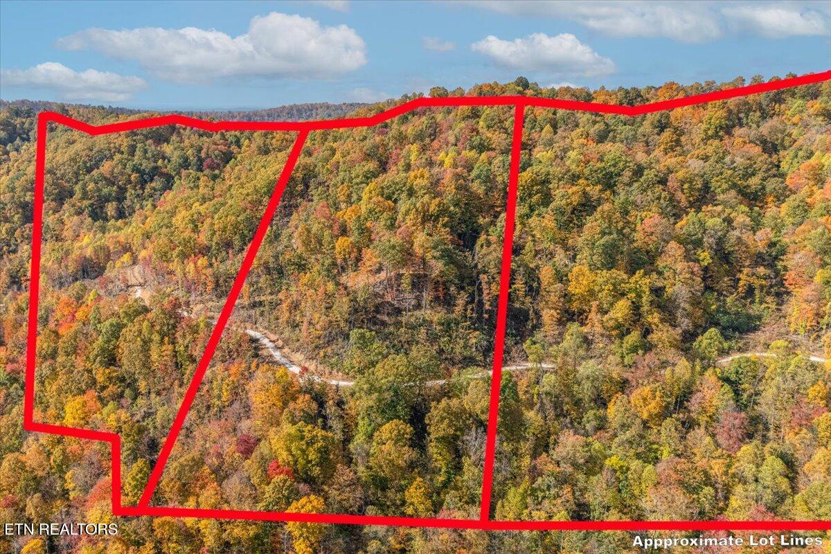 0 Buffalo Road Oneida, TN 37841 - Photo 4 of 51 10-Lot Line A8