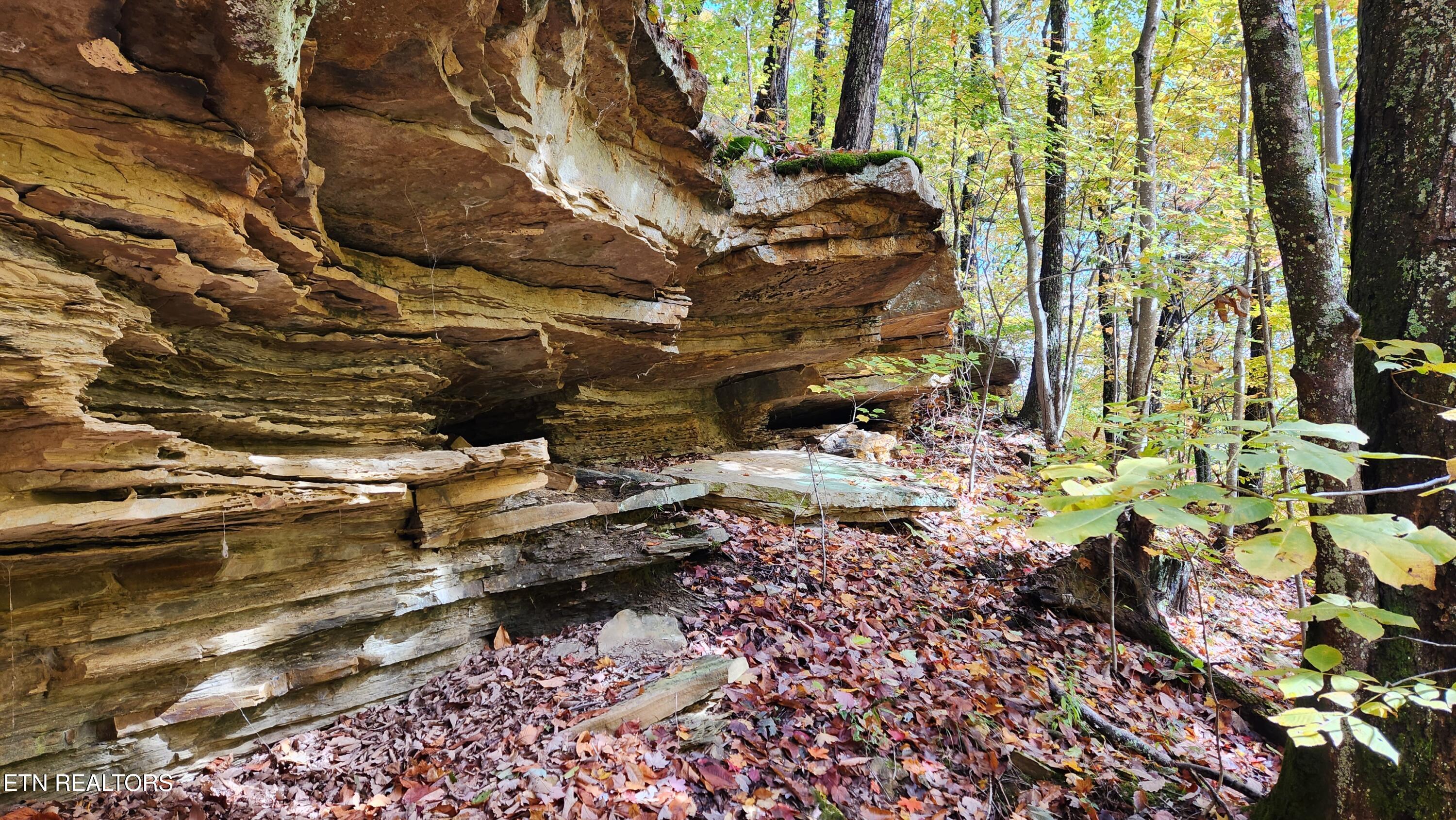 0 Buffalo Road Oneida, TN 37841 - Photo 4 of 51 20251031_122218