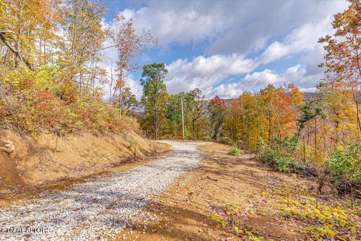 0 Buffalo Road Oneida, TN 37841 - Photo 42 of 51 34-Walkthrough A11