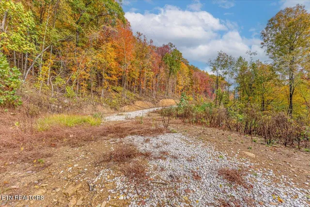 $440,000 | 0 Buffalo Road, Oneida, TN 37841