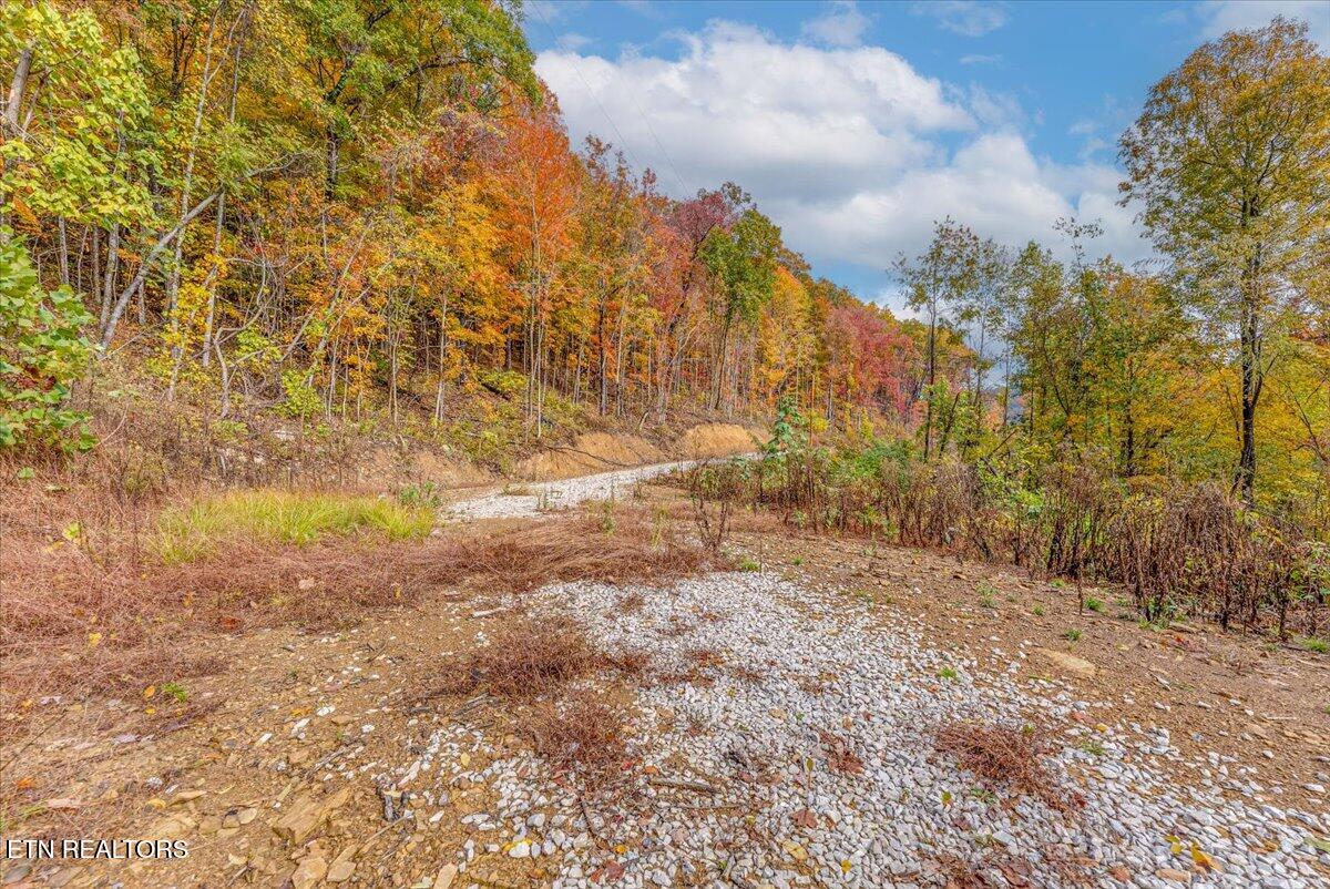 0 Buffalo Road Oneida, TN 37841 - Photo 44 of 51 38-Walkthrough A15