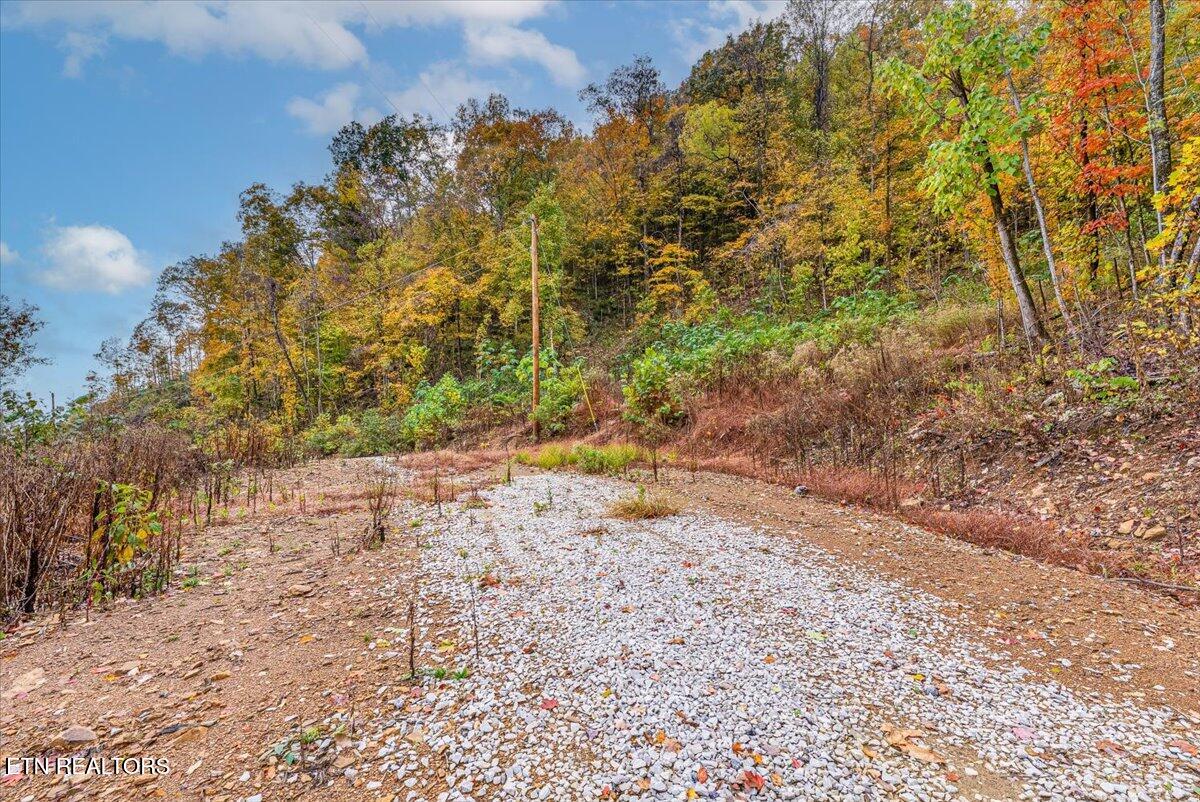 0 Buffalo Road Oneida, TN 37841 - Photo 46 of 51 39-Walkthrough A16