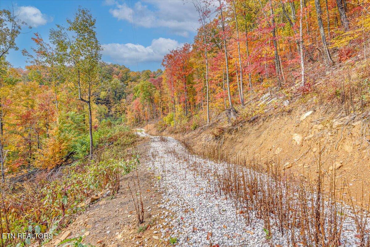 0 Buffalo Road Oneida, TN 37841 - Photo 47 of 51 42-Walkthrough A20