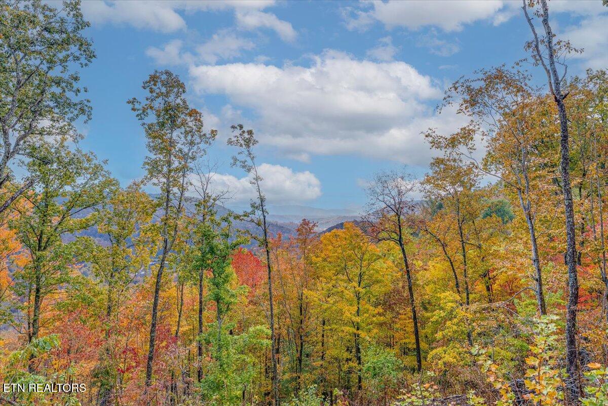 0 Buffalo Road Oneida, TN 37841 - Photo 48 of 51 46-Walkthrough A24