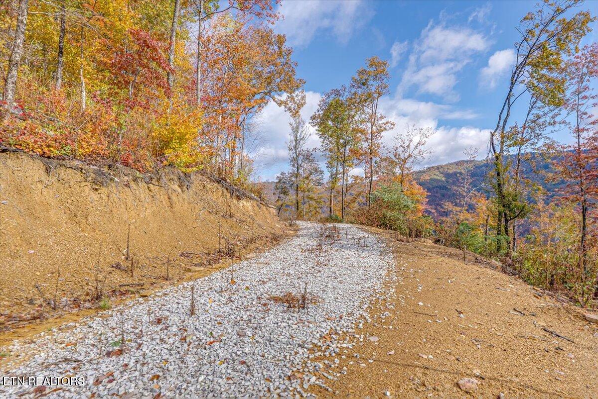 0 Buffalo Road Oneida, TN 37841 - Photo 49 of 51 44-Walkthrough A22