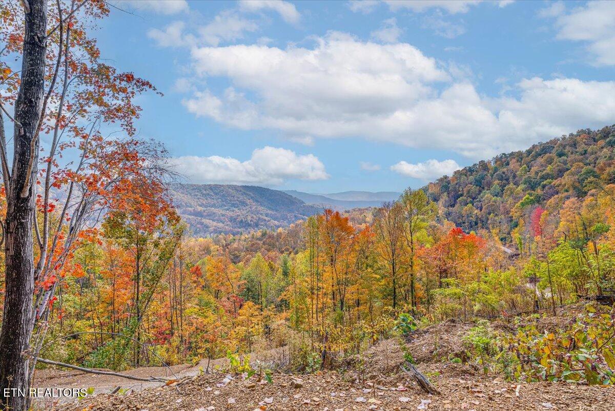 0 Buffalo Road Oneida, TN 37841 - Photo 5 of 51 3-Extra View A3