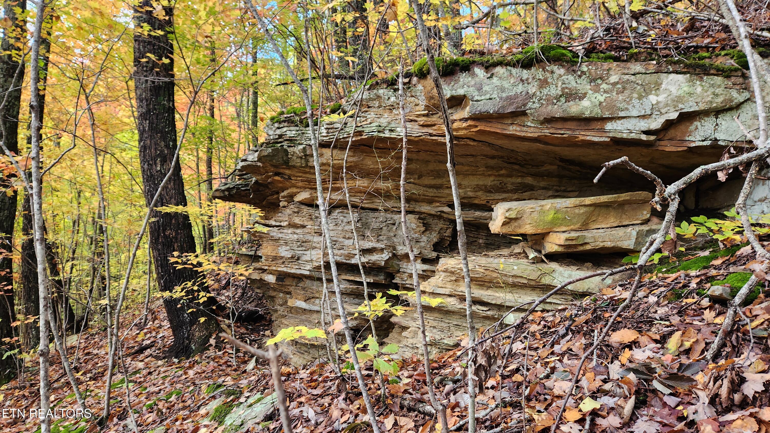 0 Buffalo Road Oneida, TN 37841 - Photo 5 of 51 20251031_122441