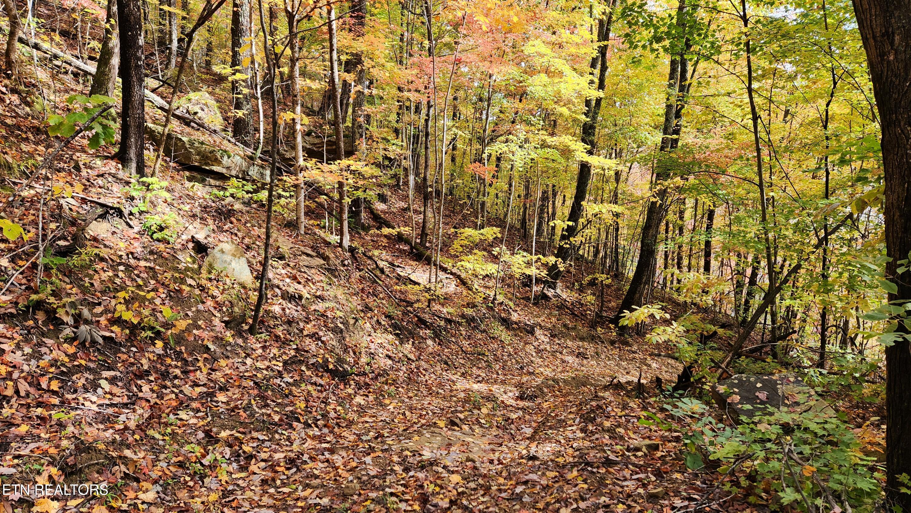 0 Buffalo Road Oneida, TN 37841 - Photo 51 of 51 20251031_122045