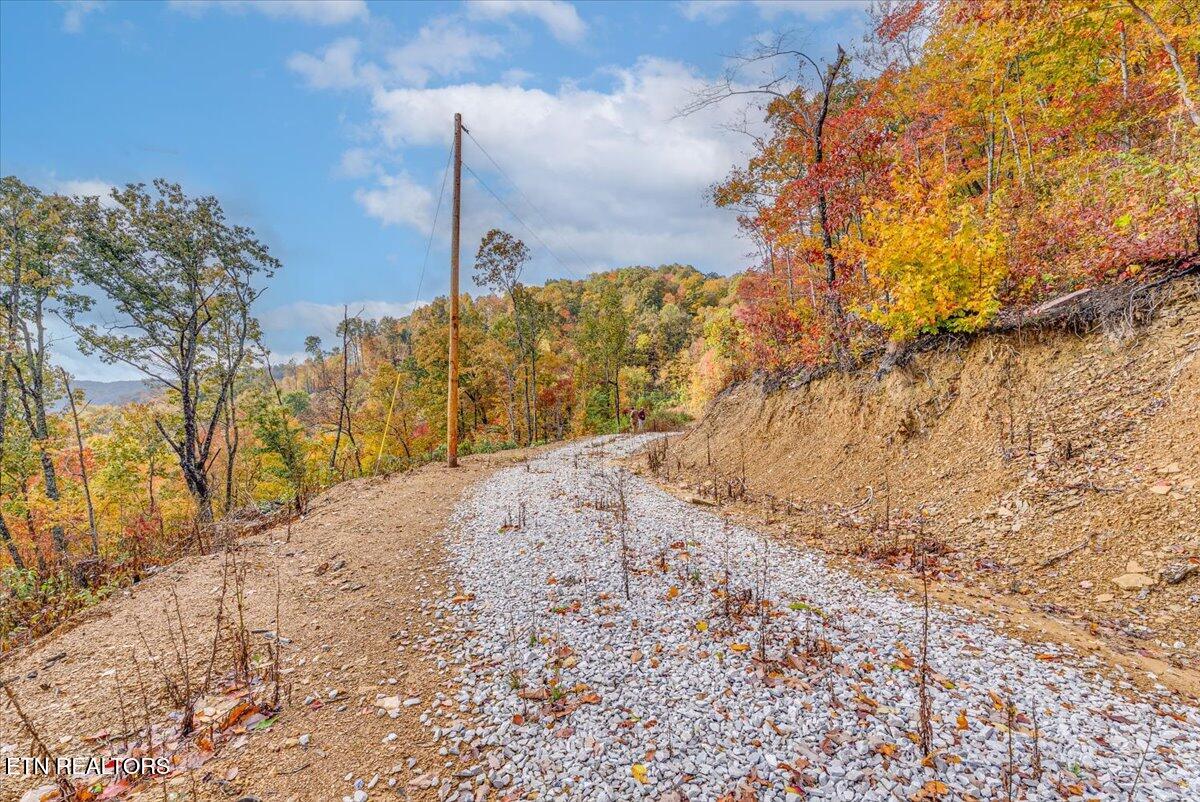 0 Buffalo Road Oneida, TN 37841 - Photo 51 of 51 45-Walkthrough A23