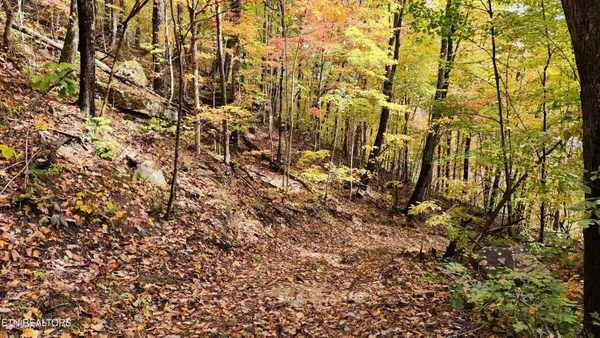 $440,000 | 0 Buffalo Road, Oneida, TN 37841