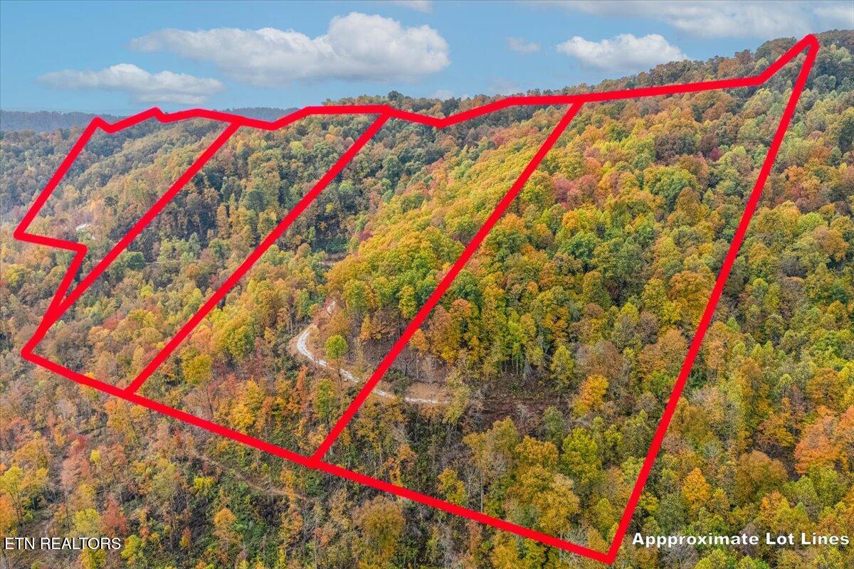 0 Buffalo Road Oneida, TN 37841 - Photo 9 of 51 01-Front View A1