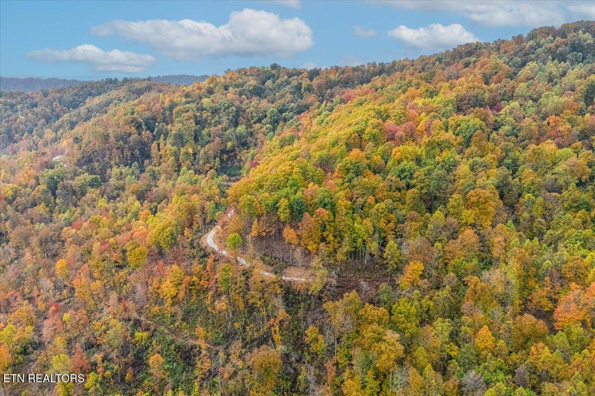 0 Buffalo Road Oneida, TN 37841 - Photo 10 of 51 02-Front View A2