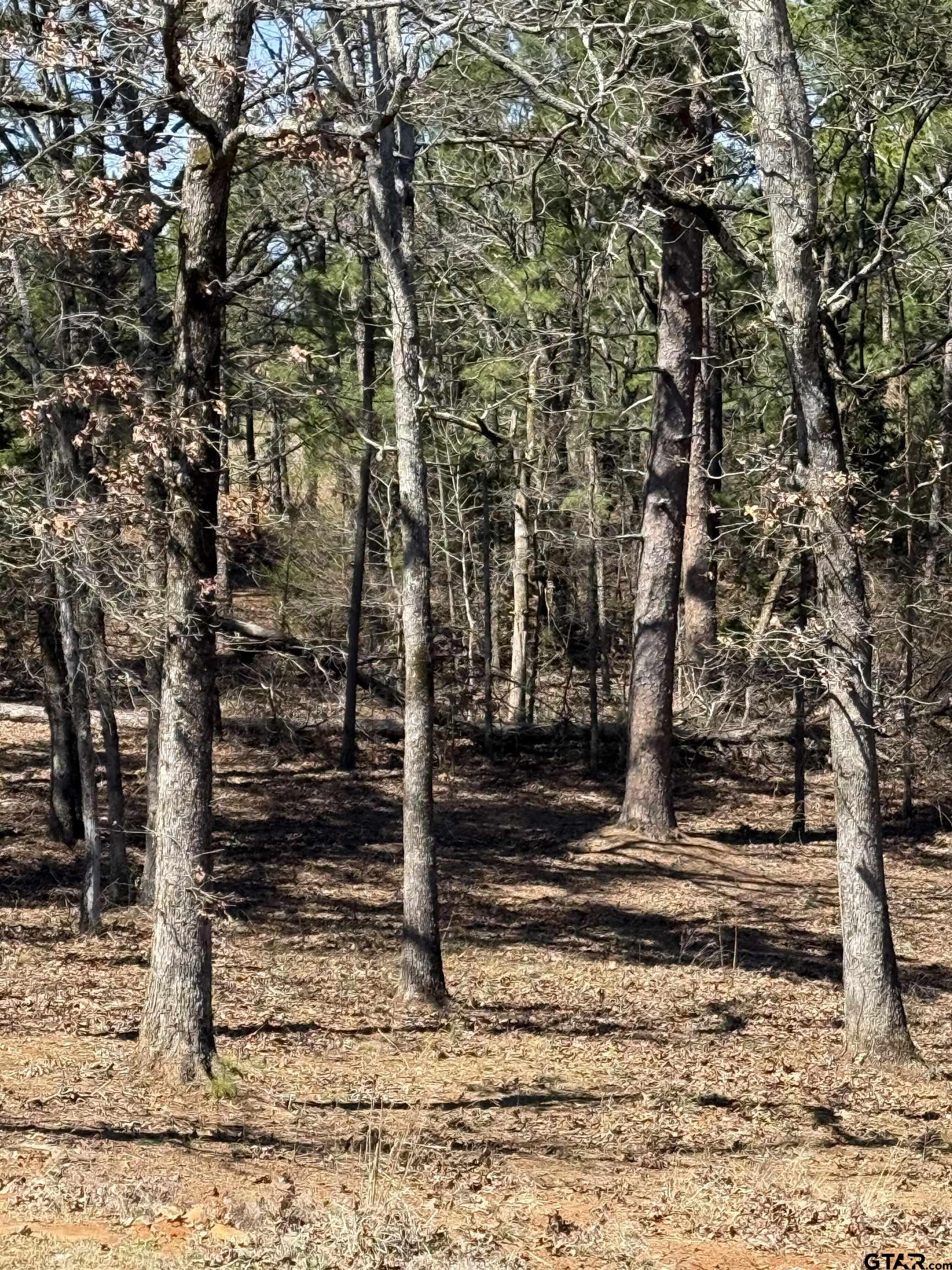 21482 West Fm 16 Lindale, TX 75771 - Photo 3 of 45