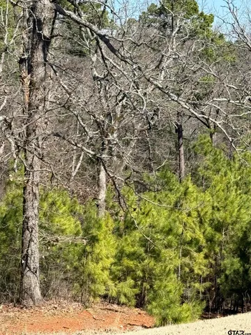 a view of swimming pool with a yard and fence