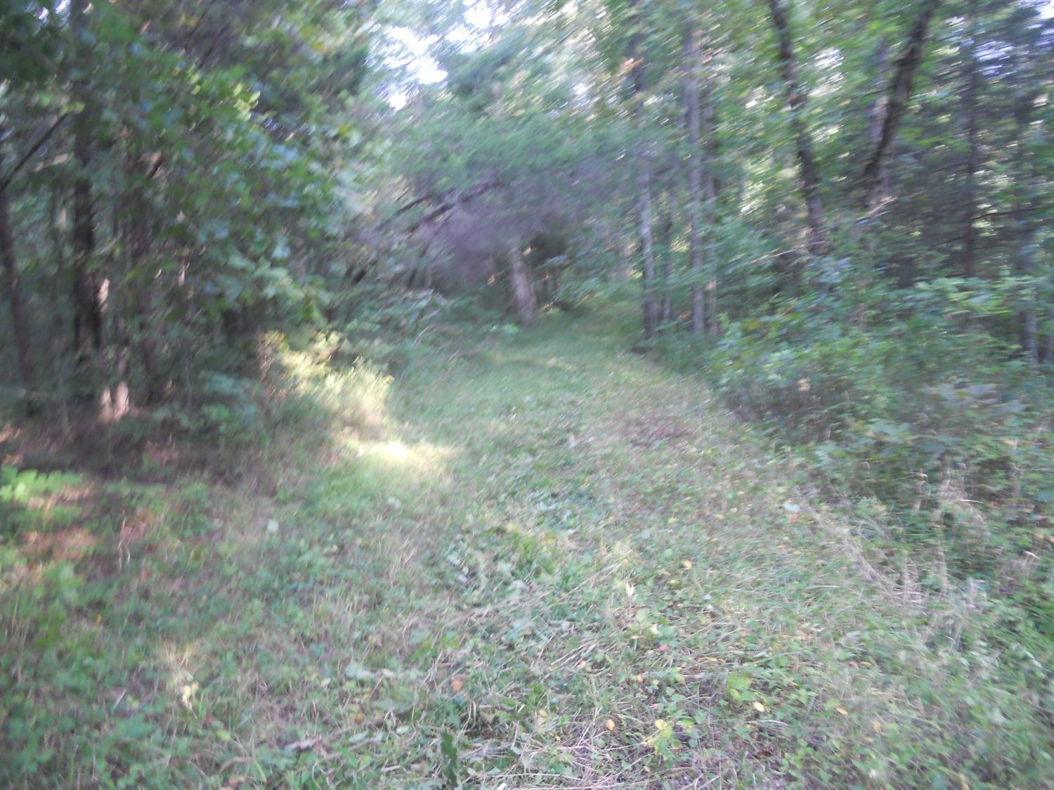 4164 Bardstown Road Lawrenceburg, KY 40342 - Photo 6 of 22 Photo 6