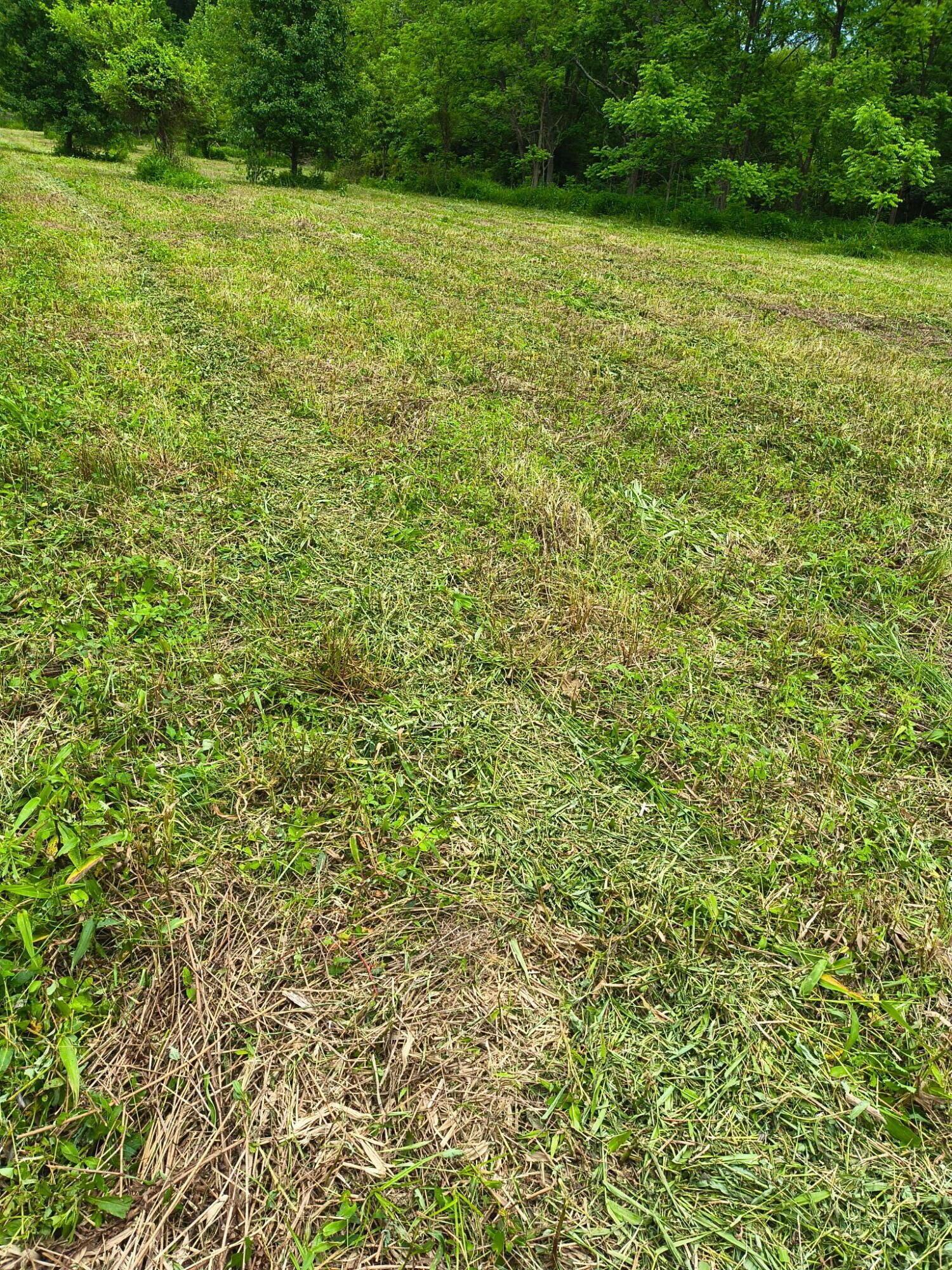0 Reed Road Logan, OH 43138 - Photo 7 of 11