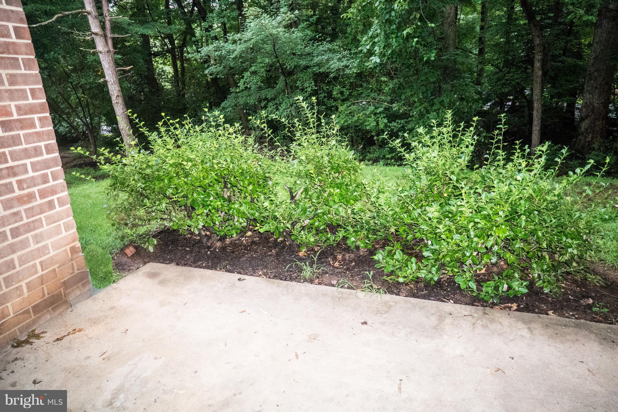 1413 Northgate Square, Unit 1C Reston, VA 20190 - Photo 15 of 16 Large patio facing trees