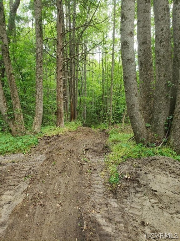 Gallery Image 7