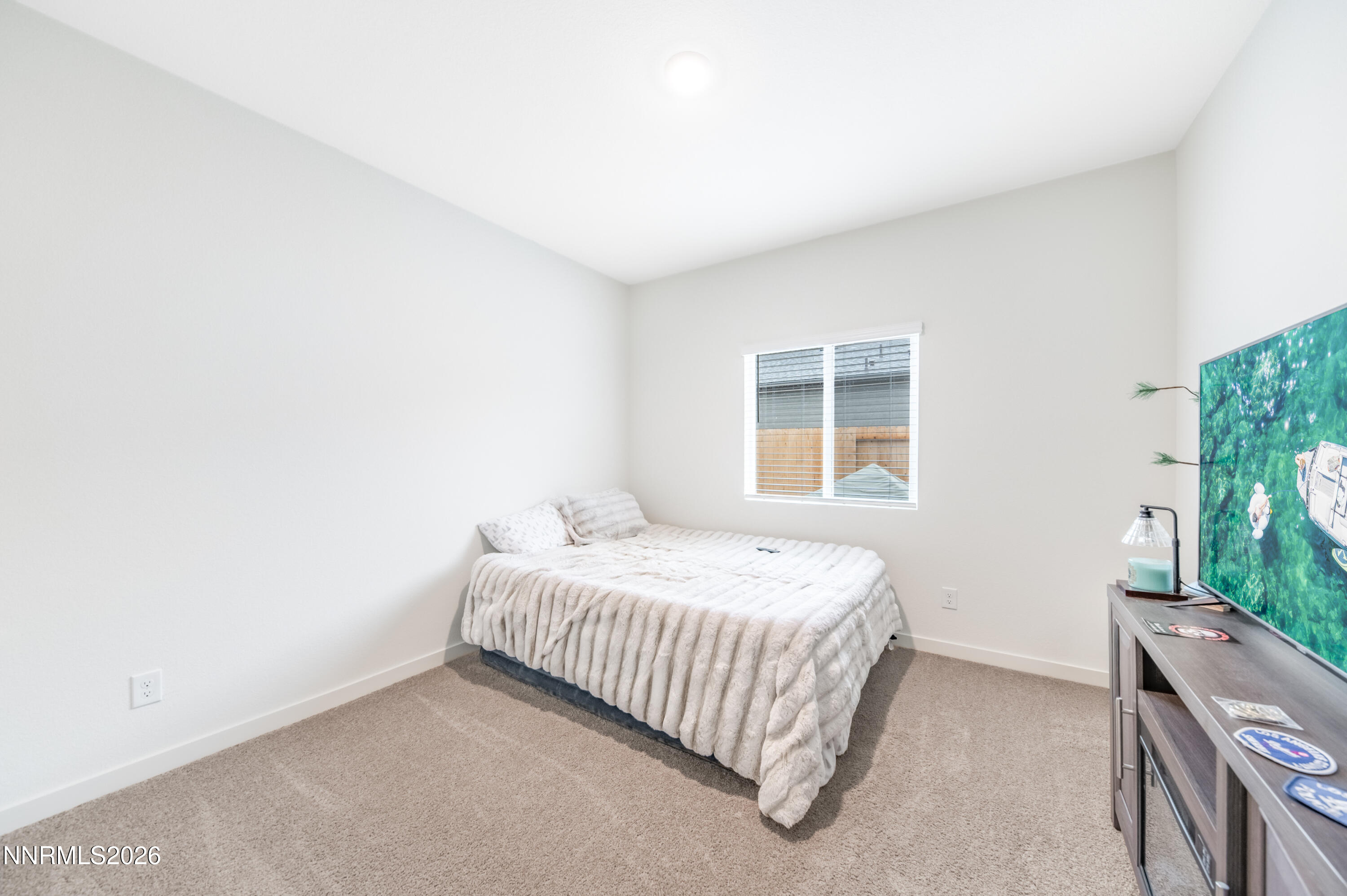 461 Sheep Camp Road Dayton, NV 89403 - Photo 23 of 26 S-30