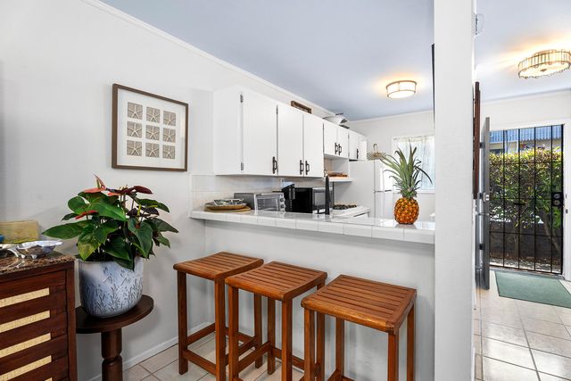 a white kitchen with a potted plant on the counter and cabinets