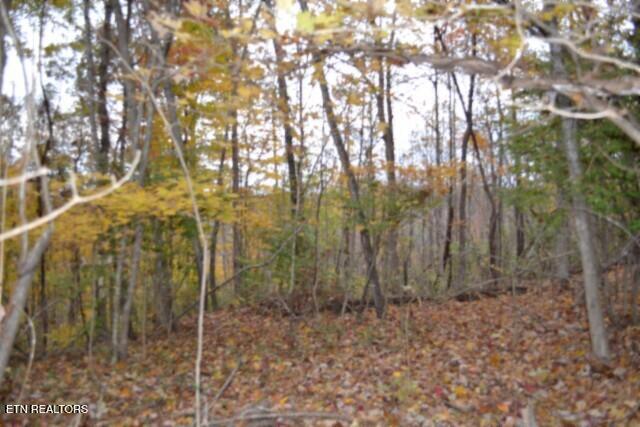10.70-ac Red Oak Ridge Road Celina, TN 38551 - Photo 1 of 39 DSC_0006