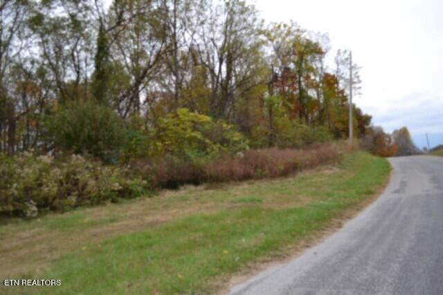 10.70-ac Red Oak Ridge Road Celina, TN 38551 - Photo 12 of 39 DSC_0012