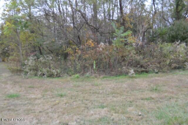 10.70-ac Red Oak Ridge Road Celina, TN 38551 - Photo 13 of 39 DSC_0013