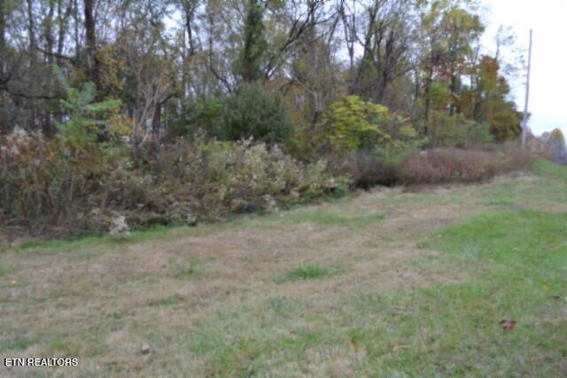 10.70-ac Red Oak Ridge Road Celina, TN 38551 - Photo 14 of 39 DSC_0014