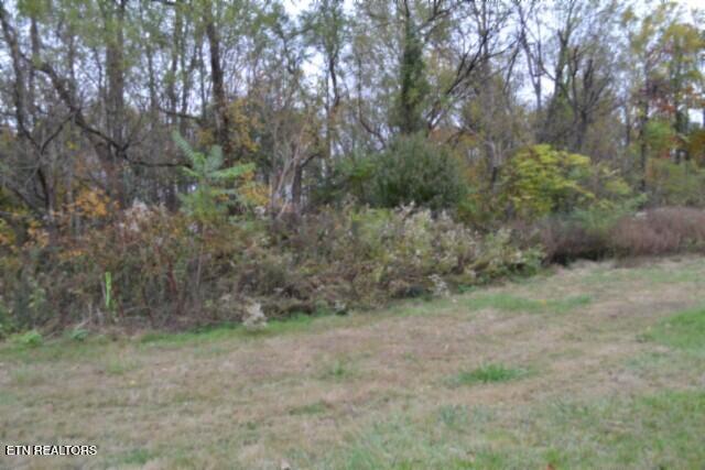 10.70-ac Red Oak Ridge Road Celina, TN 38551 - Photo 16 of 39 DSC_0016