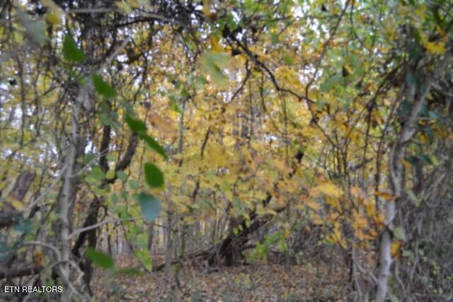 10.70-ac Red Oak Ridge Road Celina, TN 38551 - Photo 20 of 39 DSC_0020