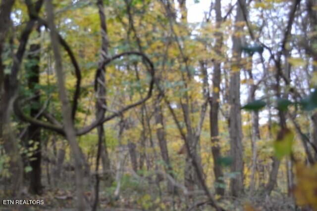 10.70-ac Red Oak Ridge Road Celina, TN 38551 - Photo 23 of 39 DSC_0023