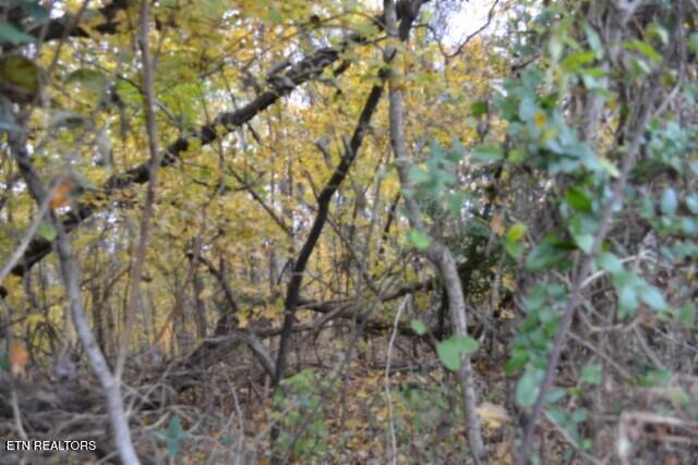 10.70-ac Red Oak Ridge Road Celina, TN 38551 - Photo 25 of 39 DSC_0025