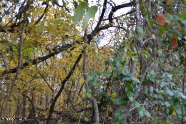 10.70-ac Red Oak Ridge Road Celina, TN 38551 - Photo 26 of 39 DSC_0026