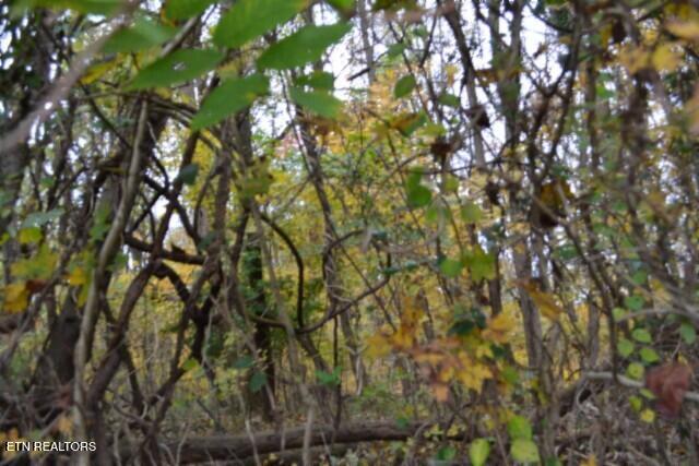 10.70-ac Red Oak Ridge Road Celina, TN 38551 - Photo 27 of 39 DSC_0027
