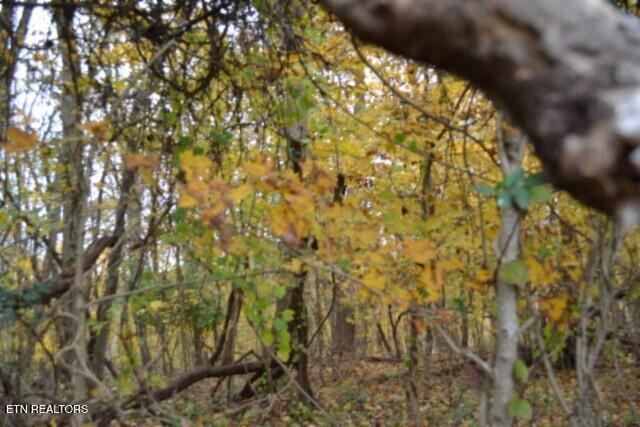 10.70-ac Red Oak Ridge Road Celina, TN 38551 - Photo 28 of 39 DSC_0028