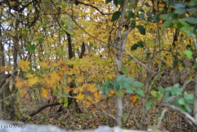 10.70-ac Red Oak Ridge Road Celina, TN 38551 - Photo 29 of 39 DSC_0029