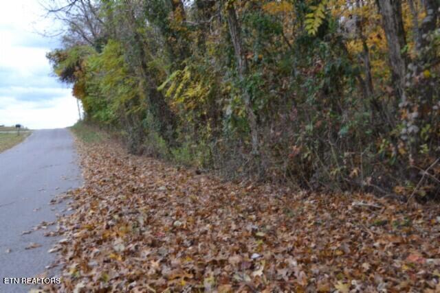 10.70-ac Red Oak Ridge Road Celina, TN 38551 - Photo 3 of 39 DSC_0002